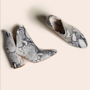 Steve Madden Rookie Natural Snake Bootie
